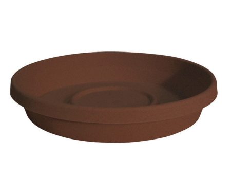 Bloem Terratray 2.75 in. H X 16 in. D Resin Traditional Tray Chocolate Fashion