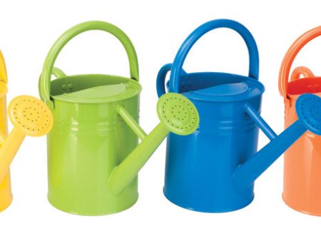 Panacea Assorted 2 gal Metal Watering Can Fashion