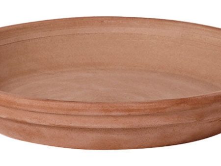 Deroma 1.6 in. H X 12.2 in. D Clay Rich Plant Saucer Chocolate Fashion