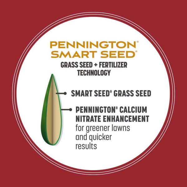 Pennington Smart Seed Perennial Ryegrass Sun or Shade Grass Seed and Fertilizer 3 lb Supply