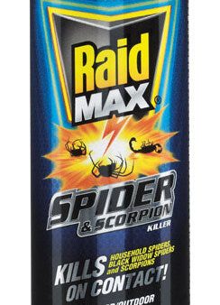 Raid MAX Insect Killer Aerosol 12 oz Fashion