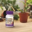 Bonide Bontone Powder Rooting Hormone 1.25 oz For Cheap