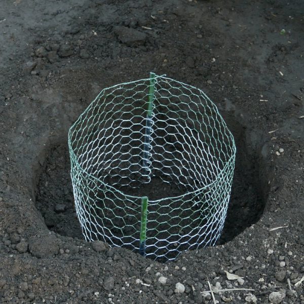 Digger s Root Guard 27.75 in. H X 25 in. W X 0.2 in. D Silver Coated Wire Gopher Wire Basket Sale