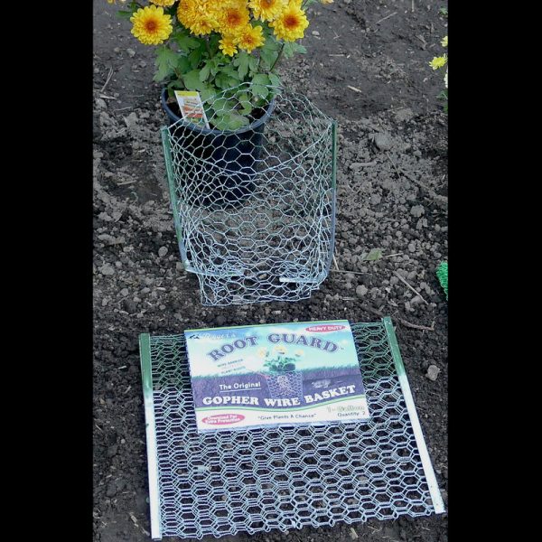 Digger s Root Guard 13.5 in. H X 13 in. W X 0.3 in. D Silver Coated Wire Gopher Wire Basket on Sale