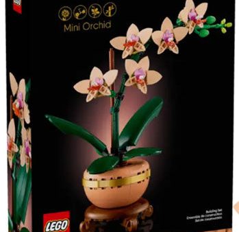 10343 Flowers Mini-Orchidea Discount