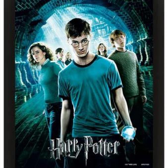 Quadro 3D Harry Potter Fawkes Discount