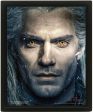 Quadro 3D The Witcher Sale