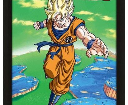 Quadro 3D Dragon Ball Z (Super Saiyan Transformation) Supply